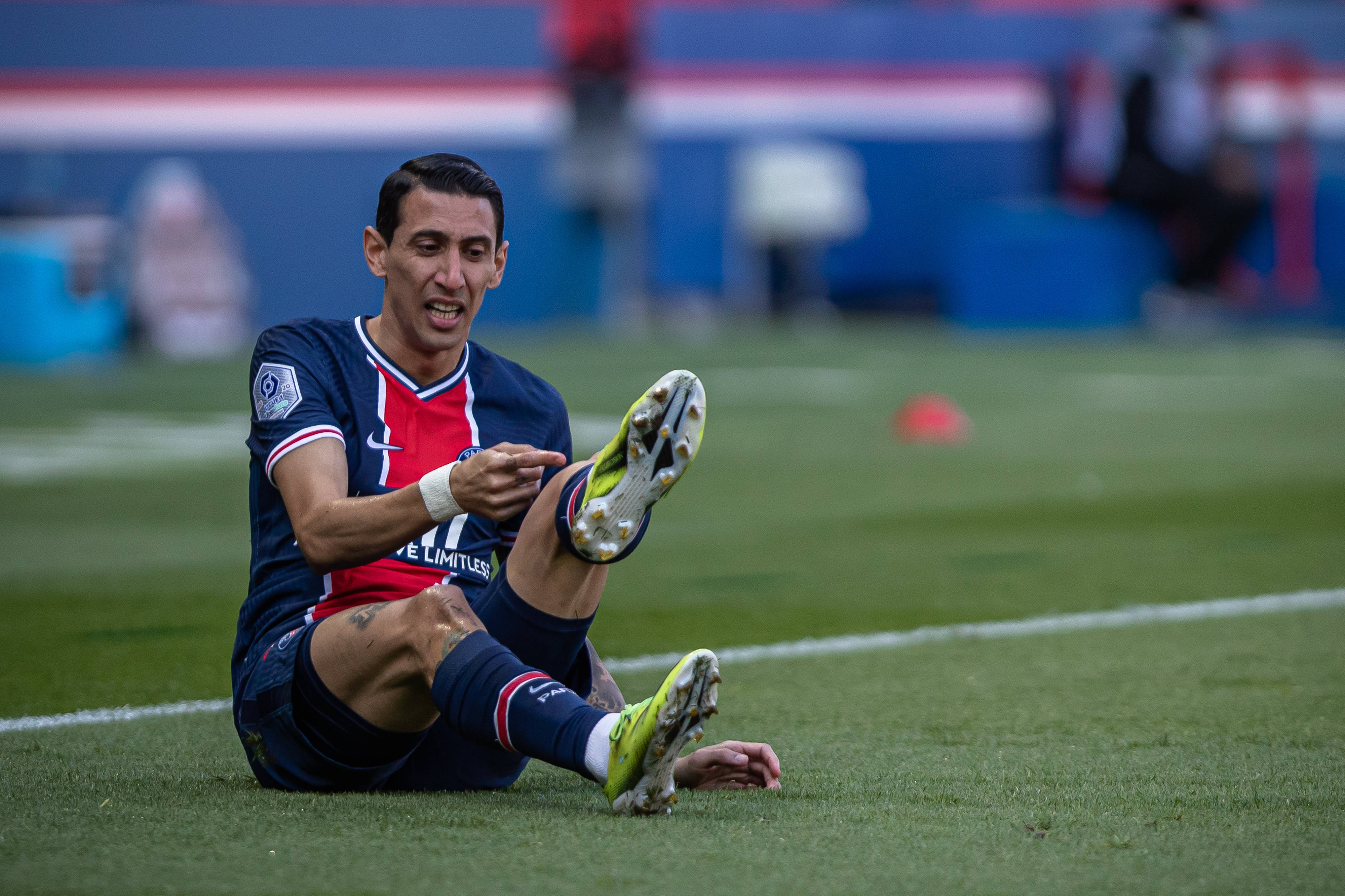 开云下载-大坂直美教练团队