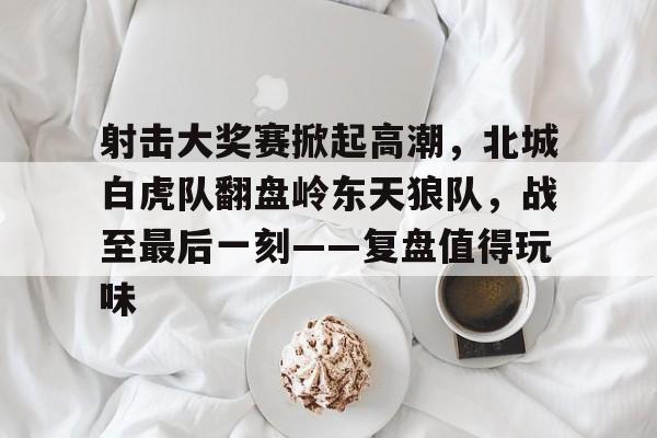开云体育下载-射击大奖赛掀起高潮，北城白虎队翻盘岭东天狼队，战至最后一刻——复盘值得玩味的简单介绍